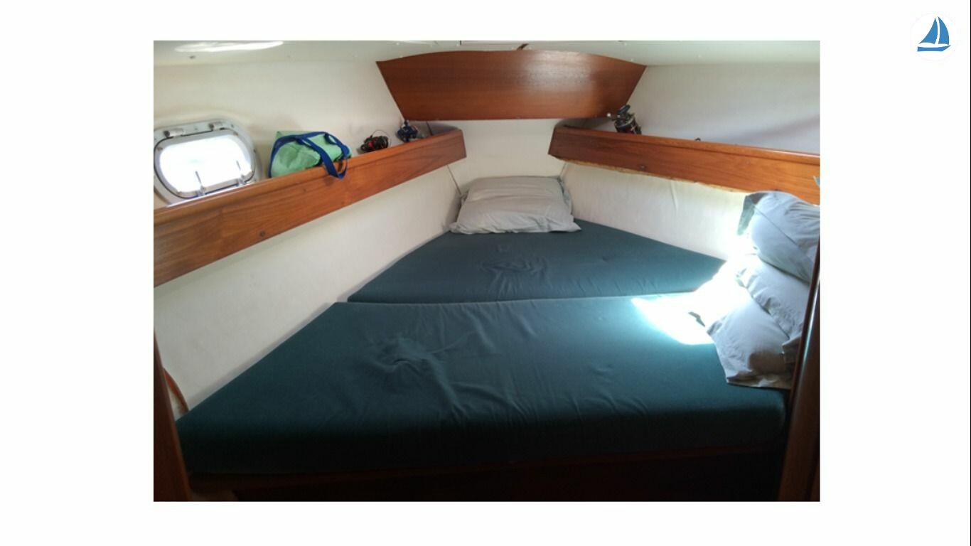 foto Jeanneau Sun Odyseey 37-1 6